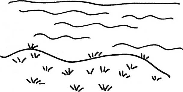 海边简笔画