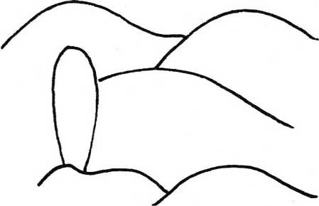 沙漠简笔画