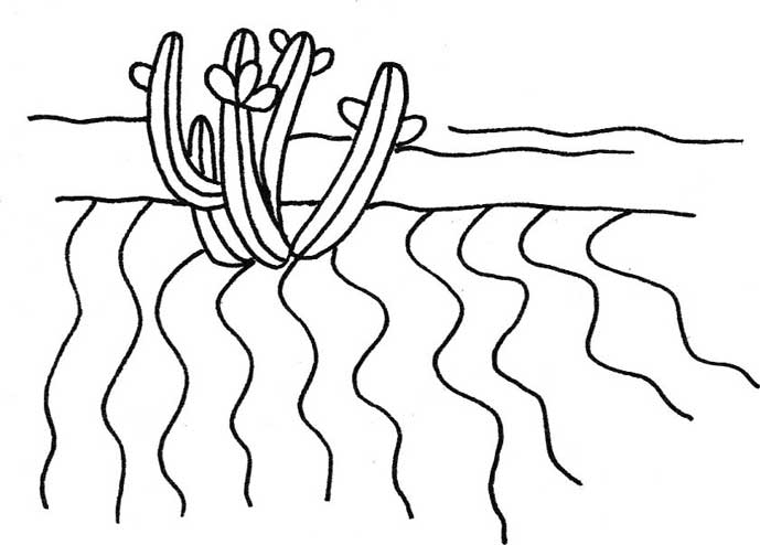 沙漠简笔画