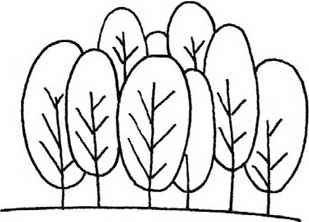 森林简笔画