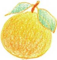 橙子简笔画