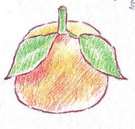 橙子简笔画