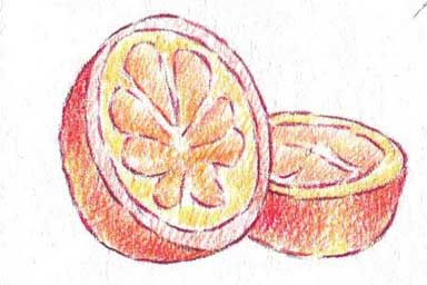 橙子简笔画