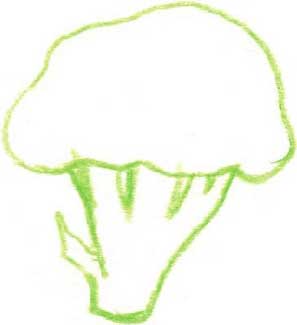 西兰花简笔画