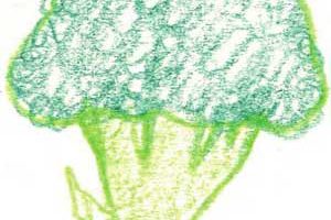 西兰花简笔画