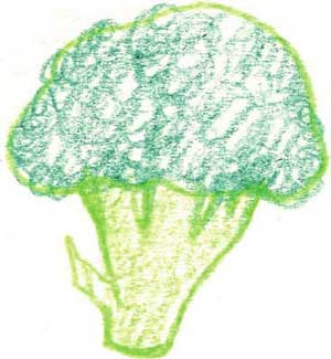 西兰花简笔画