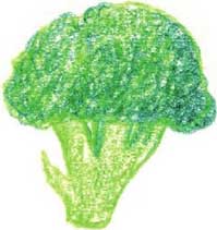 西兰花简笔画