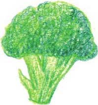 西兰花简笔画