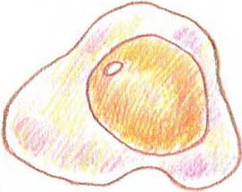 糖果简笔画