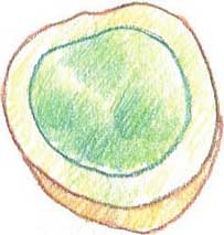 糖果简笔画
