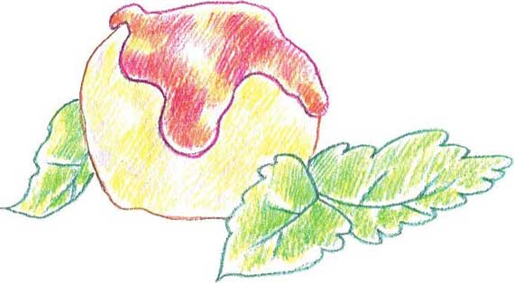 冰激凌简笔画
