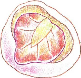 冰激凌简笔画