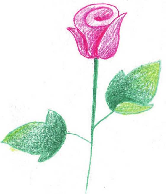 玫瑰简笔画