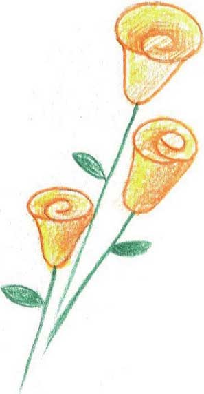 玫瑰简笔画