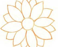 菊花简笔画