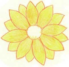 菊花简笔画