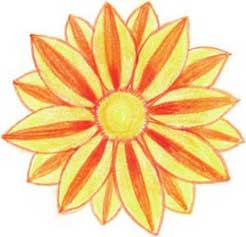 菊花简笔画