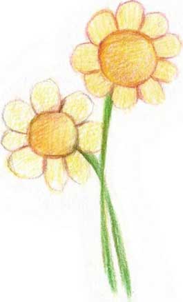 菊花简笔画