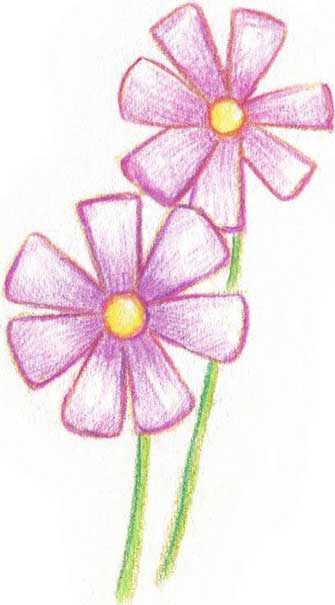 菊花简笔画