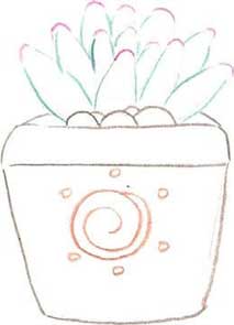 多肉植物简笔画