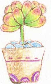 多肉植物简笔画