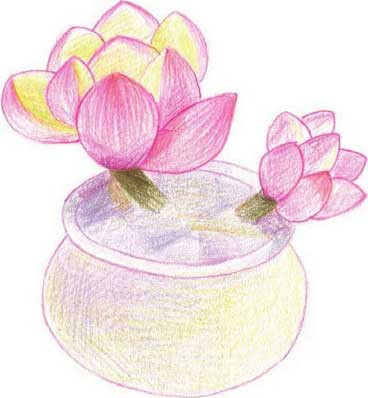 多肉植物简笔画