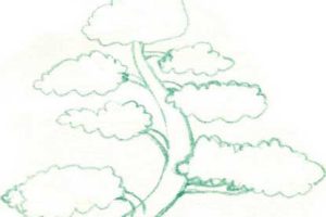 树简笔画
