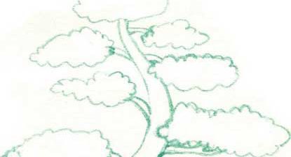 树简笔画