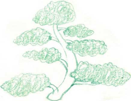 树简笔画