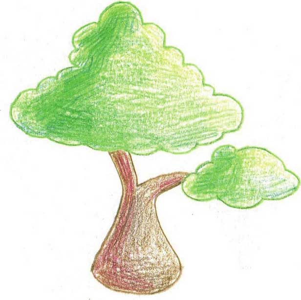 树简笔画
