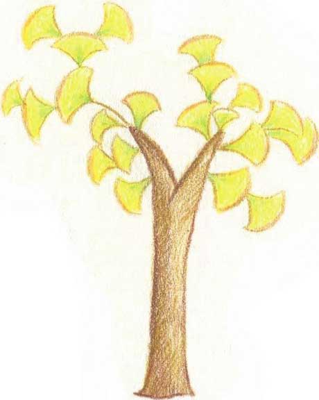 树简笔画
