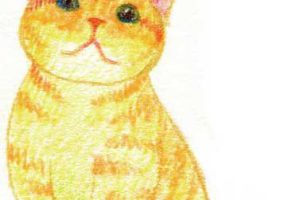 猫简笔画
