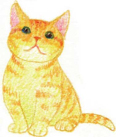 猫简笔画