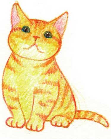 猫简笔画
