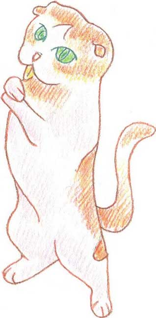 猫简笔画