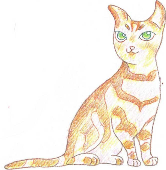猫简笔画
