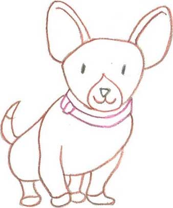 狗狗简笔画