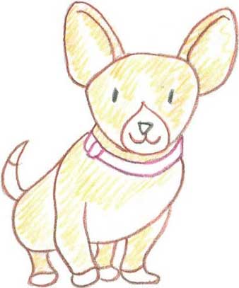 狗狗简笔画