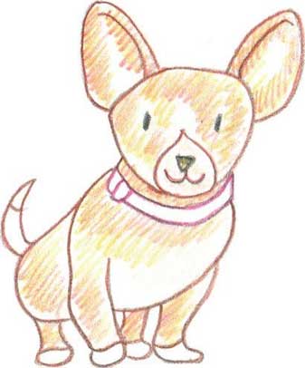 狗狗简笔画
