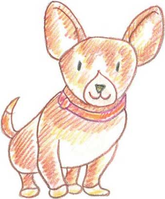 狗狗简笔画