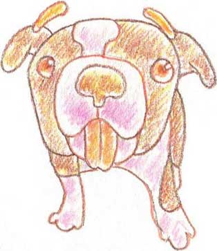 狗狗简笔画