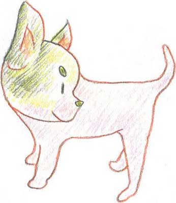狗狗简笔画