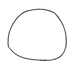 猫咪简笔画