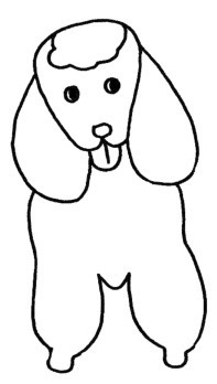 贵宾犬简笔画