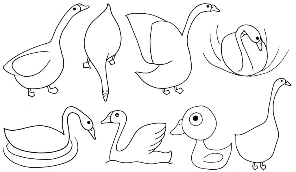 鹅简笔画