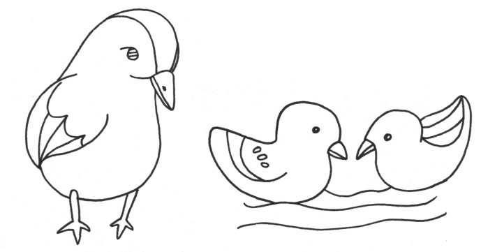 鸳鸯简笔画