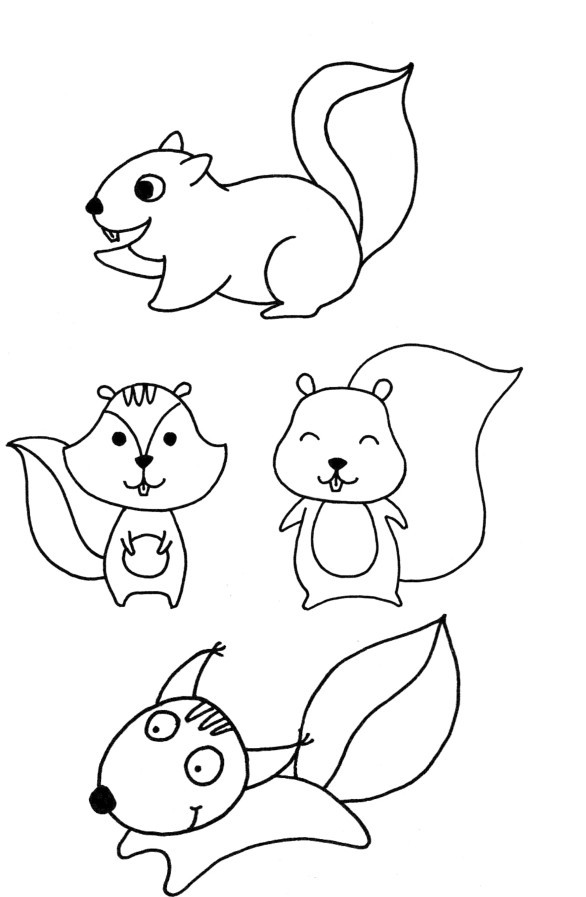 松鼠简笔画