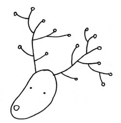 驼鹿简笔画