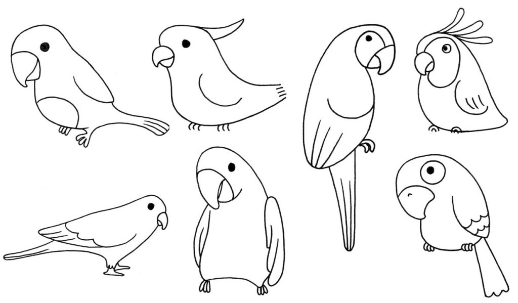 鹦鹉简笔画