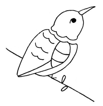 蜂鸟简笔画